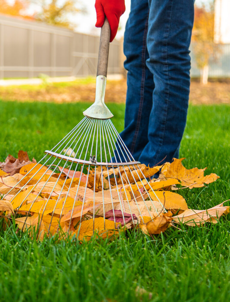 Cleaning the leaves in the autumn park. Selective focus.