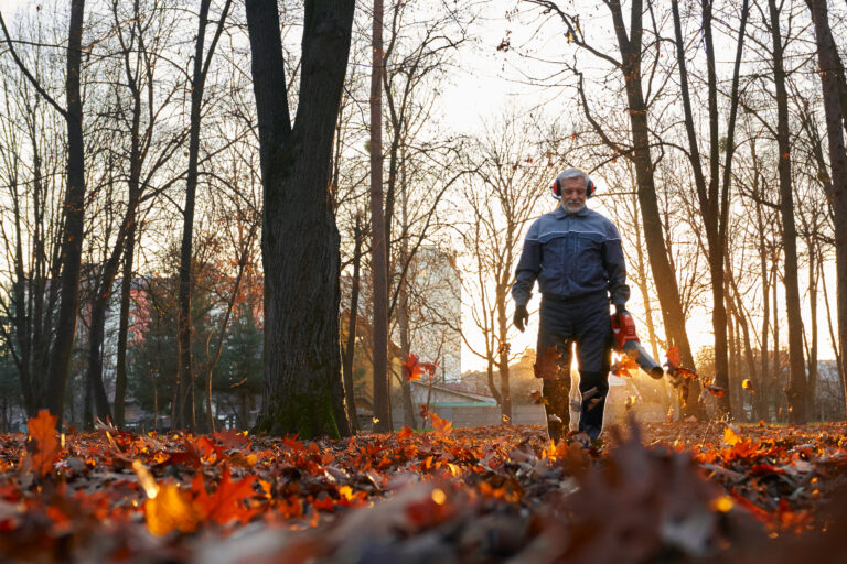 Falling leaves removal in autumn park