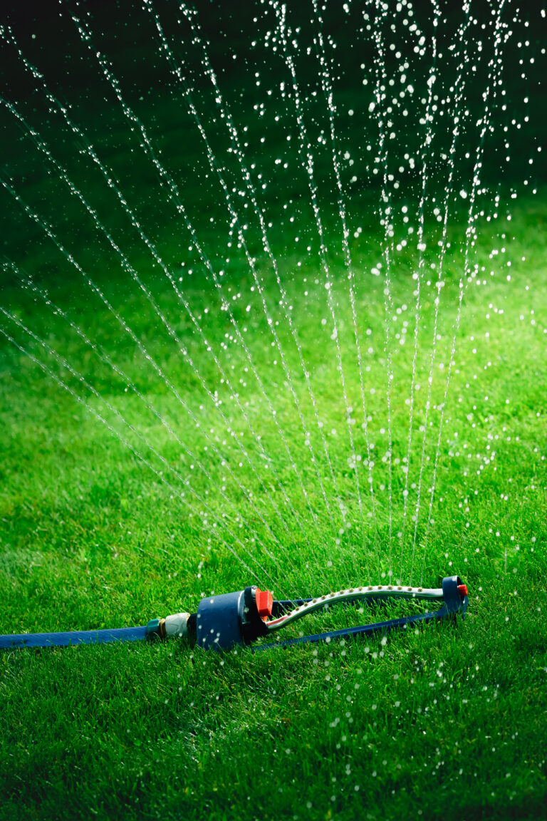 Lawn sprinkler spaying water over green grass.