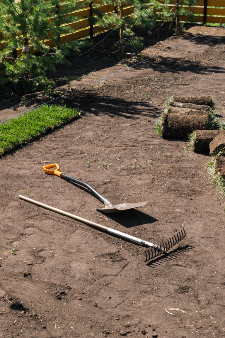 Laying sod for new garden lawn - turf laying concept