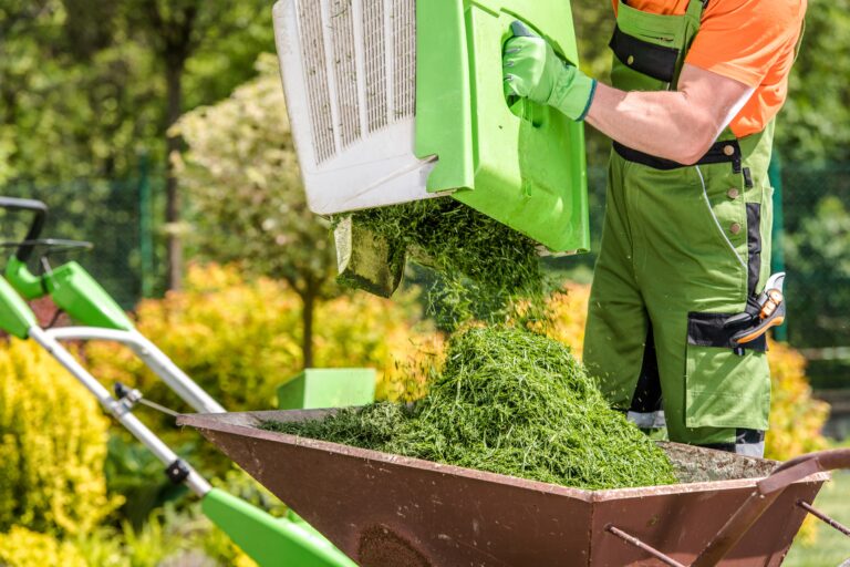 Mowing Backyard Grass