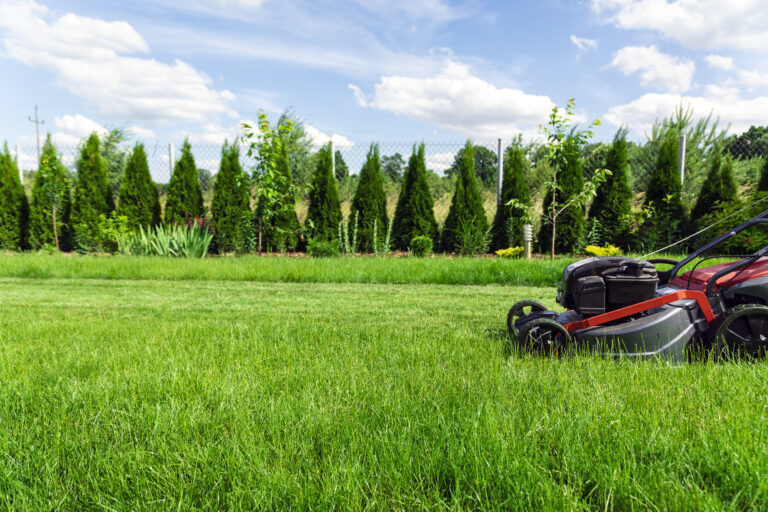 Mowing lawn in backyard